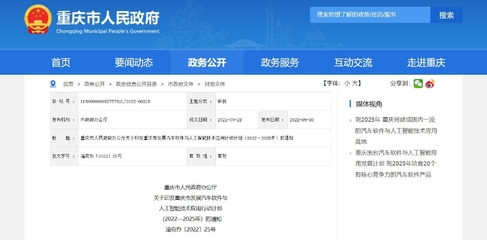 重慶信息技術(shù)咨詢服務(wù) 政府官網(wǎng)指引與企業(yè)創(chuàng)新發(fā)展的雙贏之道