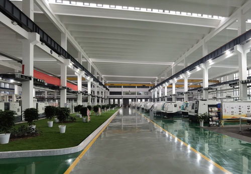 匠心獨(dú)運(yùn) 專心致志 重慶信息技術(shù)咨詢服務(wù)企業(yè)以高質(zhì)量發(fā)展贏得市場